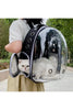 Kedi Taşıma Çantası İle Yolculuk: Kediler İçin Güvenli ve Rahat Seyahat Etmenin Yolları